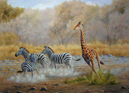 Zebra Paintings N012