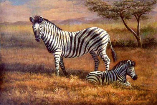 Zebra Paintings N014