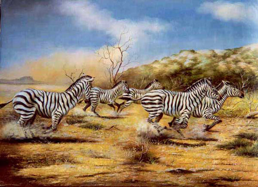 Zebra Paintings N015