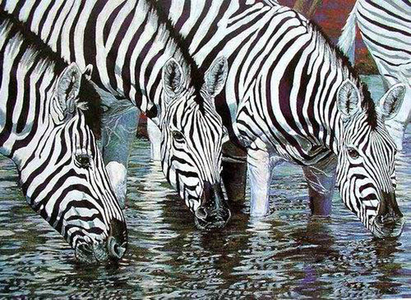 Zebra Paintings N016