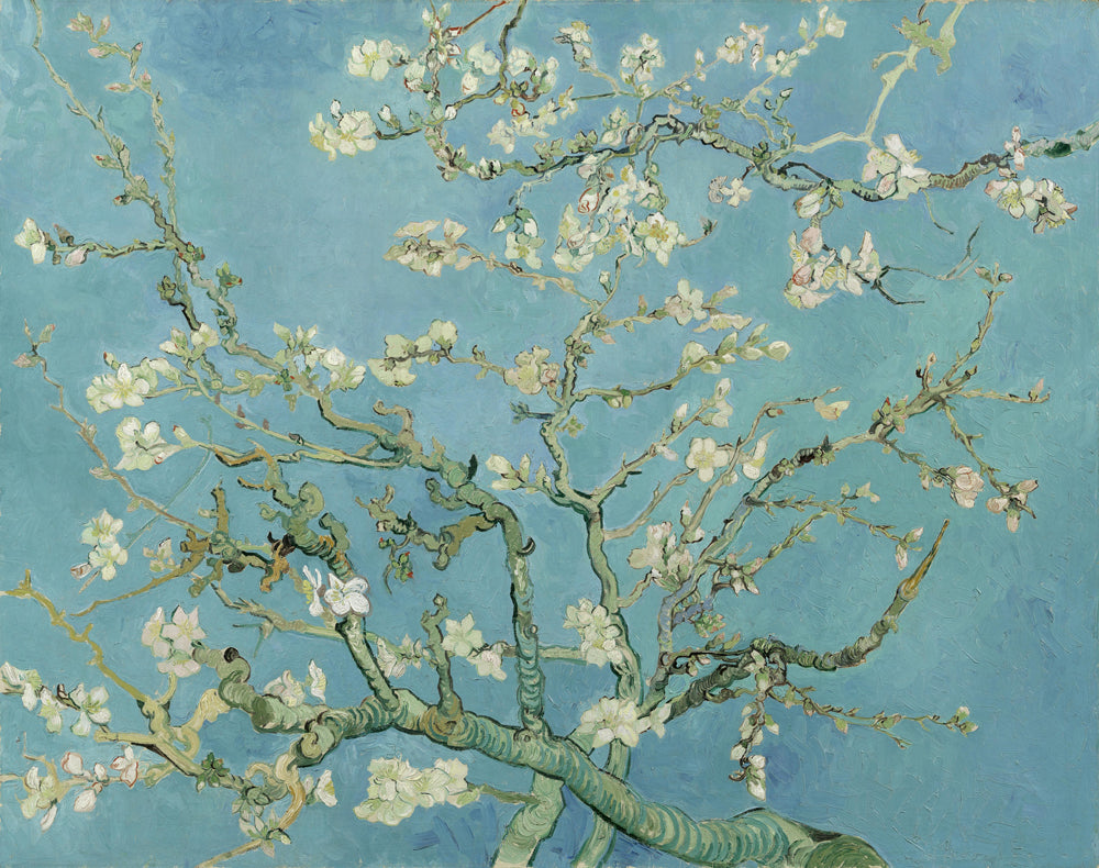 Blossoming Almond Tree